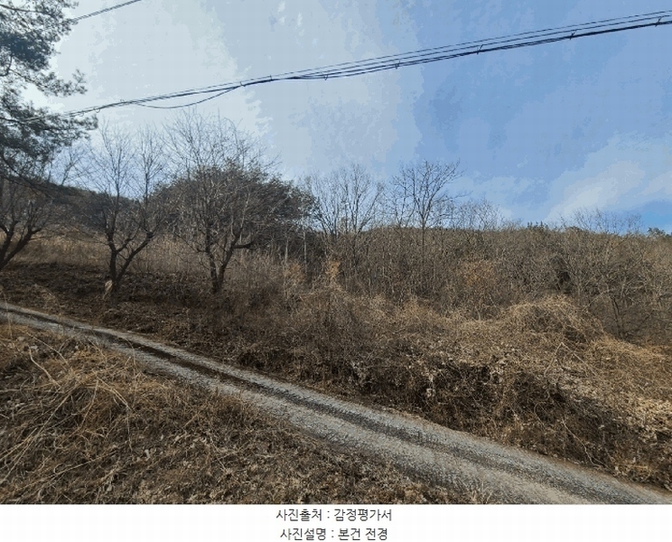 2025타경172 경상남도 의령군 정곡면 성황리 산64 임야 경매 이미지