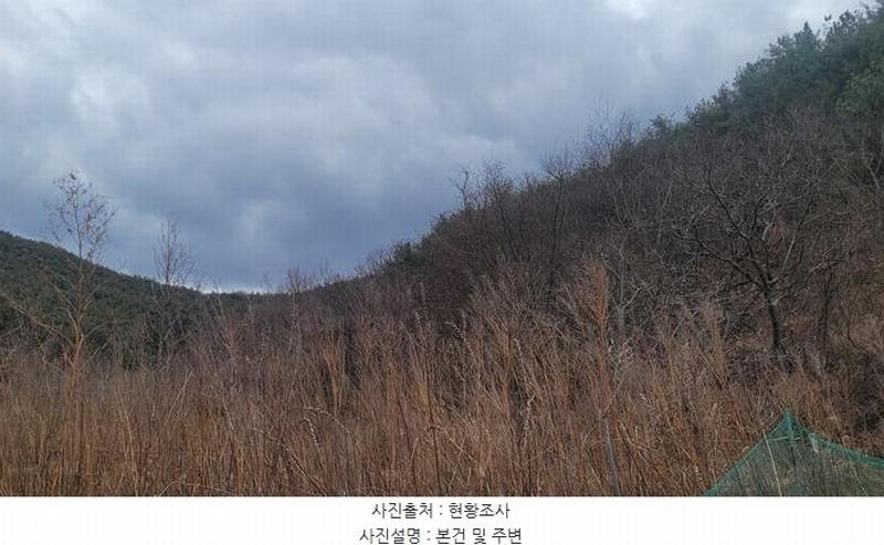 2025타경172 경상남도 의령군 정곡면 성황리 산64 임야 경매 이미지