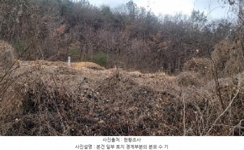 2025타경172 경상남도 의령군 정곡면 성황리 산64 임야 경매 이미지