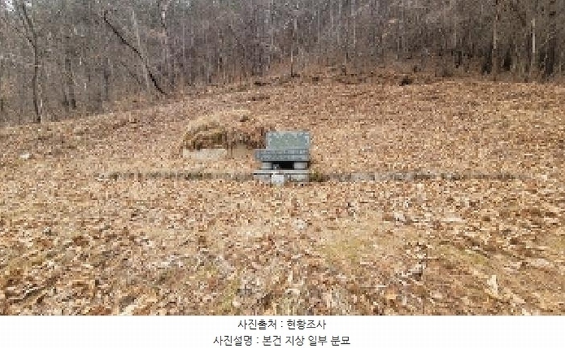 2025타경172 경상남도 의령군 정곡면 성황리 산64 임야 경매 이미지