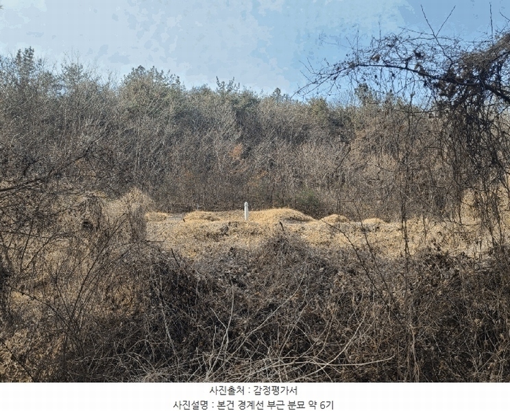 2025타경172 경상남도 의령군 정곡면 성황리 산64 임야 경매 이미지
