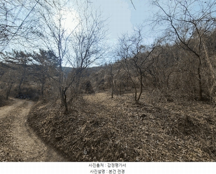 2025타경172 경상남도 의령군 정곡면 성황리 산64 임야 경매 이미지
