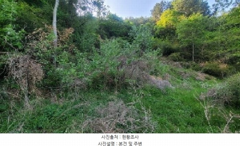 2025타경196 경상남도 창원시 마산회원구 내서읍 삼계리 1009 농지 경매 이미지