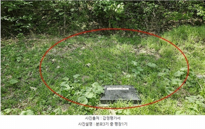 2025타경196 경상남도 창원시 마산회원구 내서읍 삼계리 1009 농지 경매 이미지