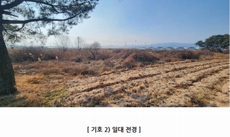 2025타경10018 경상북도 영덕군 병곡면 덕천리 206-125 임야 경매 이미지
