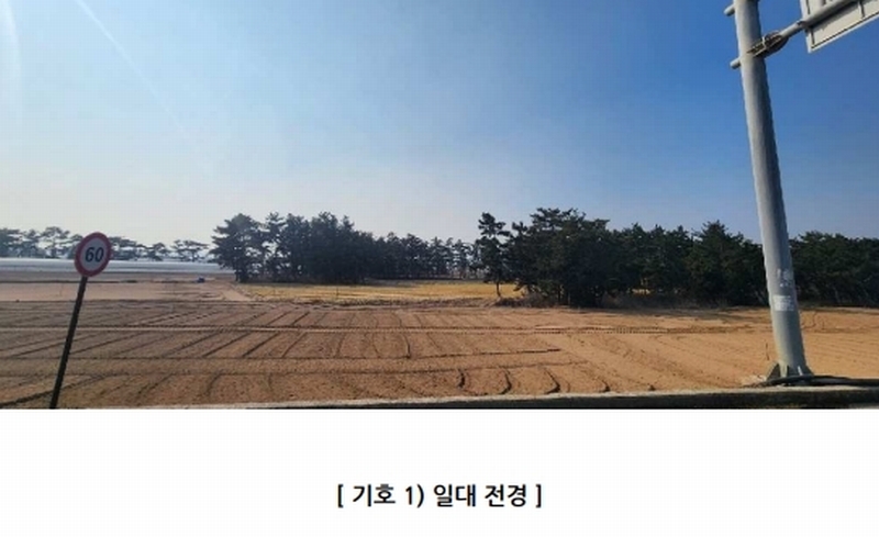 2025타경10018 경상북도 영덕군 병곡면 덕천리 206-125 임야 경매 이미지