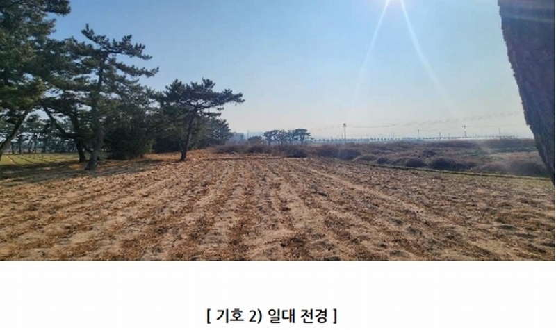 2025타경10018 경상북도 영덕군 병곡면 덕천리 206-125 임야 경매 이미지