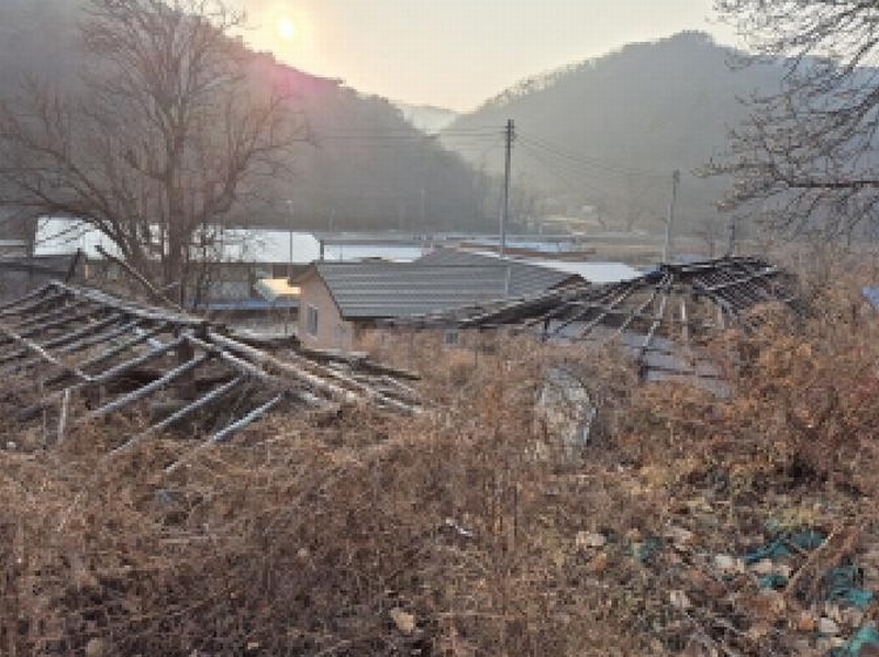 2025타경10063 경상북도 영양군 청기면 구매리 397-1 대지 경매 이미지