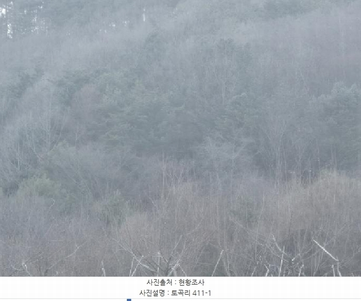 2025타경10155 경상북도 영양군 청기면 토곡리 411-1 농지 경매 이미지
