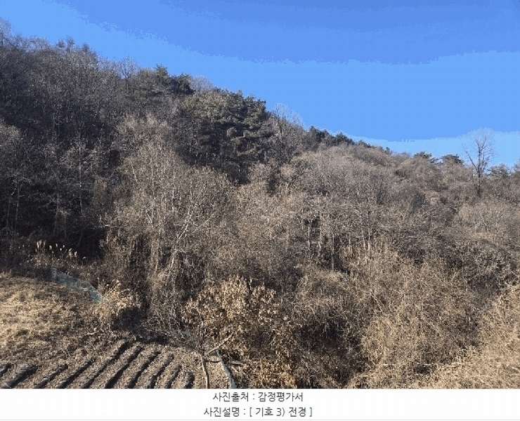 2025타경10155 경상북도 영양군 청기면 토곡리 411-1 농지 경매 이미지