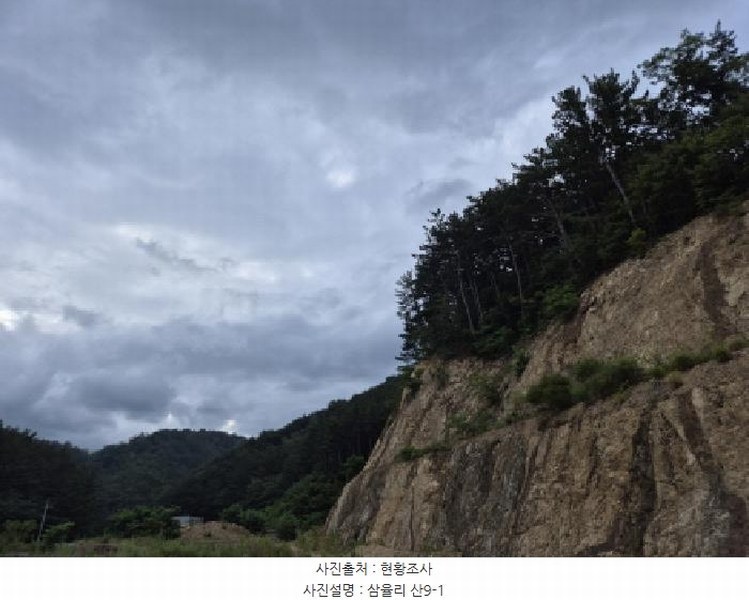 2025타경10162 경상북도 울진군 후포면 삼율리 732-7 임야 경매 이미지