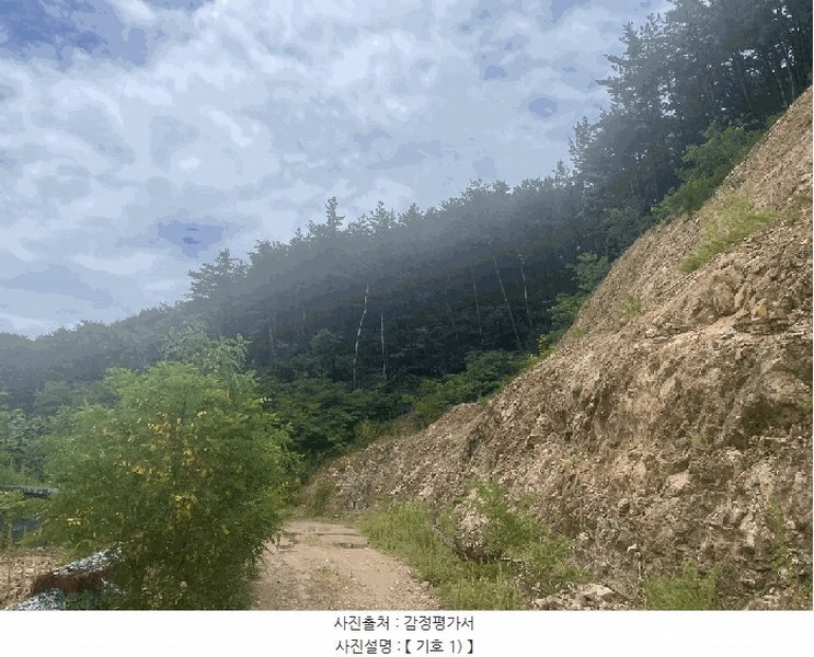 2025타경10162 경상북도 울진군 후포면 삼율리 732-7 임야 경매 이미지