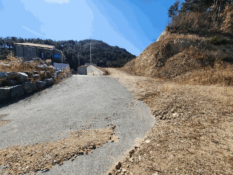 2025타경10162 경상북도 울진군 후포면 삼율리 732-7 임야 경매 이미지