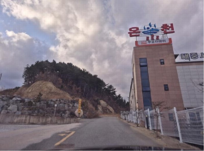2025타경10162 경상북도 울진군 후포면 삼율리 732-7 임야 경매 이미지