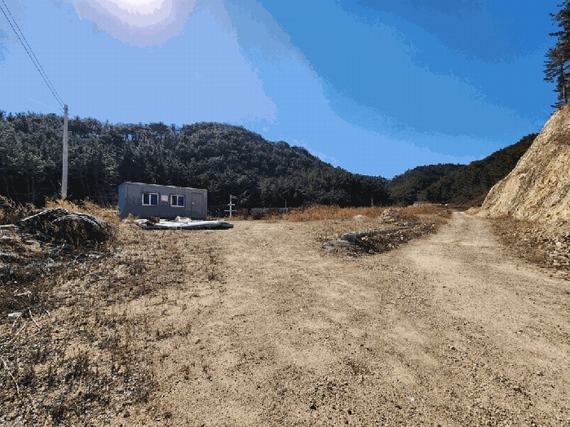 2025타경10162 경상북도 울진군 후포면 삼율리 732-7 임야 경매 이미지