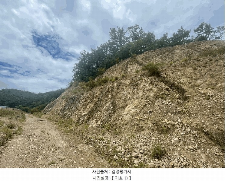 2025타경10162 경상북도 울진군 후포면 삼율리 732-7 임야 경매 이미지