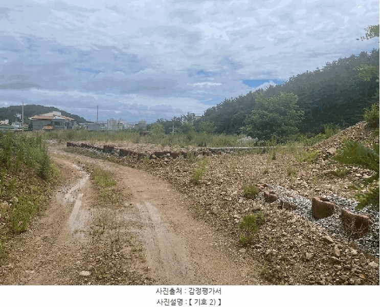2025타경10162 경상북도 울진군 후포면 삼율리 732-7 임야 경매 이미지