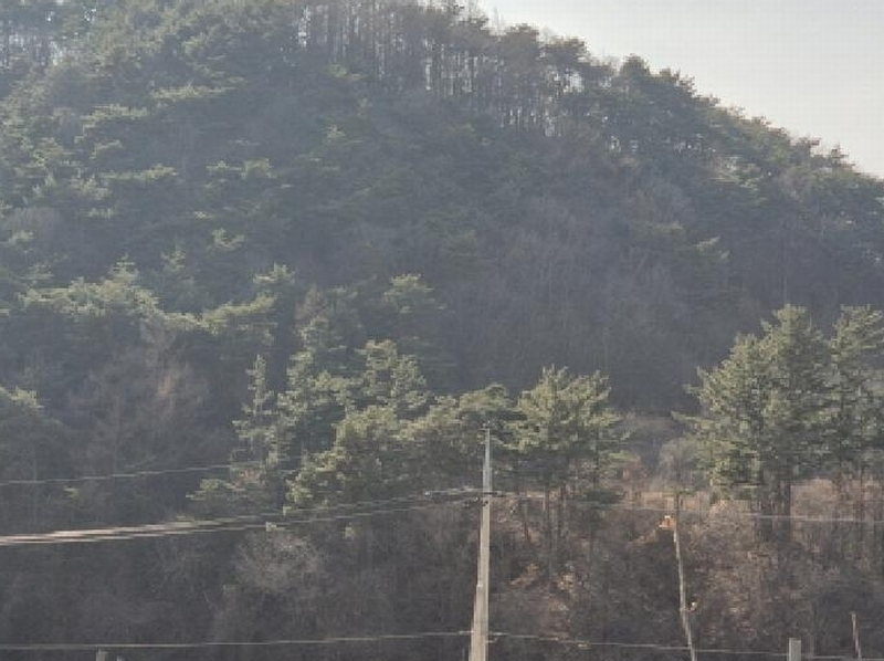 2025타경10167 경상북도 영덕군 지품면 원전리 374 임야 경매 이미지