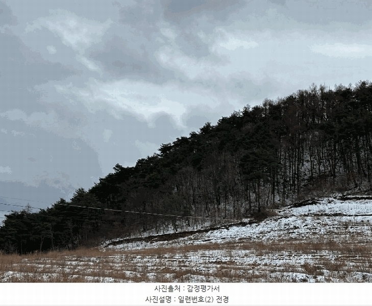 2025타경10167 경상북도 영덕군 지품면 원전리 374 임야 경매 이미지