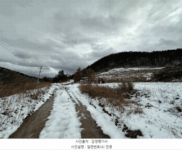 2025타경10167 경상북도 영덕군 지품면 원전리 374 임야 경매 이미지