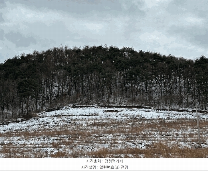 2025타경10167 경상북도 영덕군 지품면 원전리 374 임야 경매 이미지