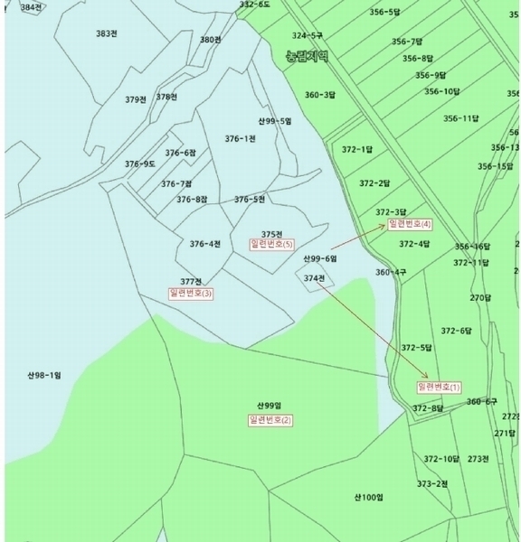 2025타경10167 경상북도 영덕군 지품면 원전리 374 임야 경매 이미지