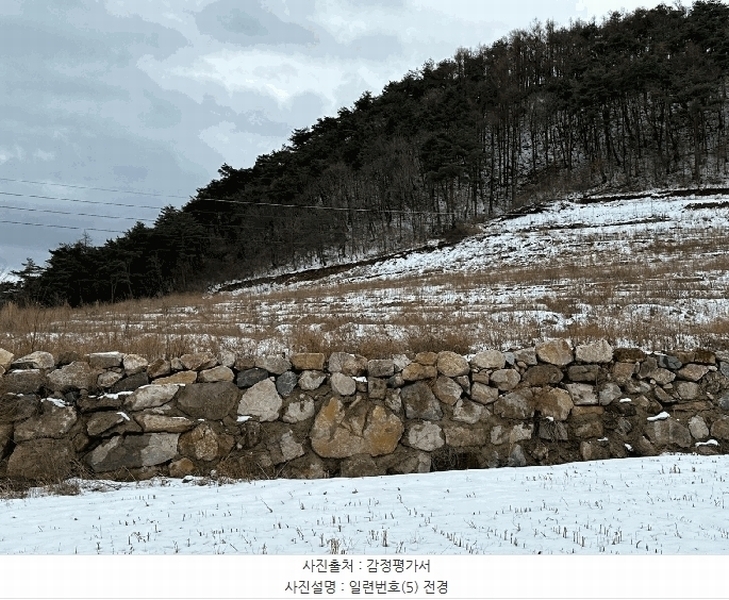 2025타경10167 경상북도 영덕군 지품면 원전리 374 임야 경매 이미지