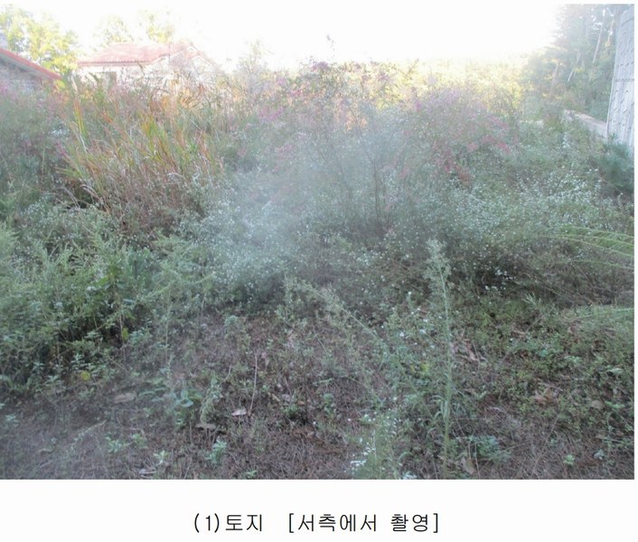 2024타경3030 경상북도 포항시 북구 흥해읍 남송리 788-3 임야 경매 이미지