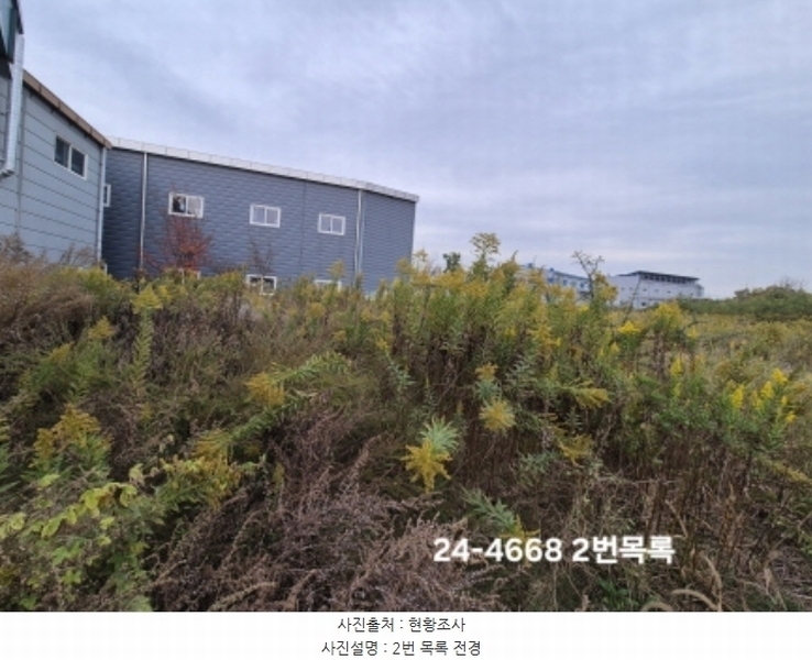 2024타경4668 부산광역시 강서구 대저1동 3191-3 농지 경매 이미지