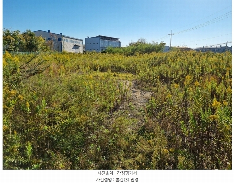 2024타경4668 부산광역시 강서구 대저1동 3191-3 농지 경매 이미지