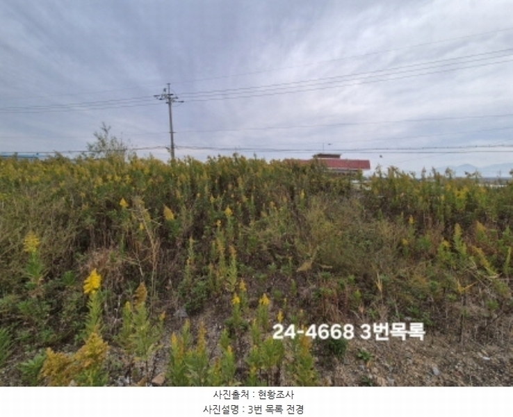 2024타경4668 부산광역시 강서구 대저1동 3191-3 농지 경매 이미지