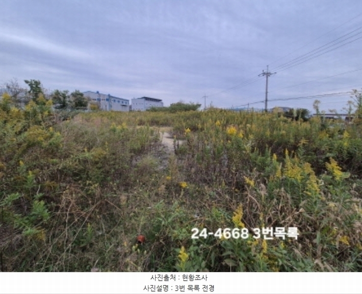 2024타경4668 부산광역시 강서구 대저1동 3191-3 농지 경매 이미지