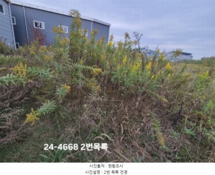 2024타경4668 부산광역시 강서구 대저1동 3191-3 농지 경매 이미지