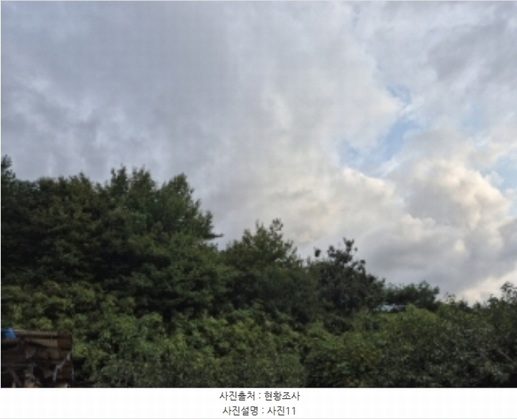 2024타경35655 경상북도 포항시 북구 기계면 학야리 398-3 임야 경매 이미지