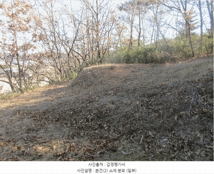 2024타경35655 경상북도 포항시 북구 기계면 학야리 398-3 임야 경매 이미지