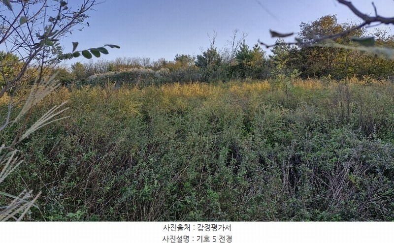 2024타경36429 경상북도 포항시 북구 흥해읍 오도리 405 농지 경매 이미지