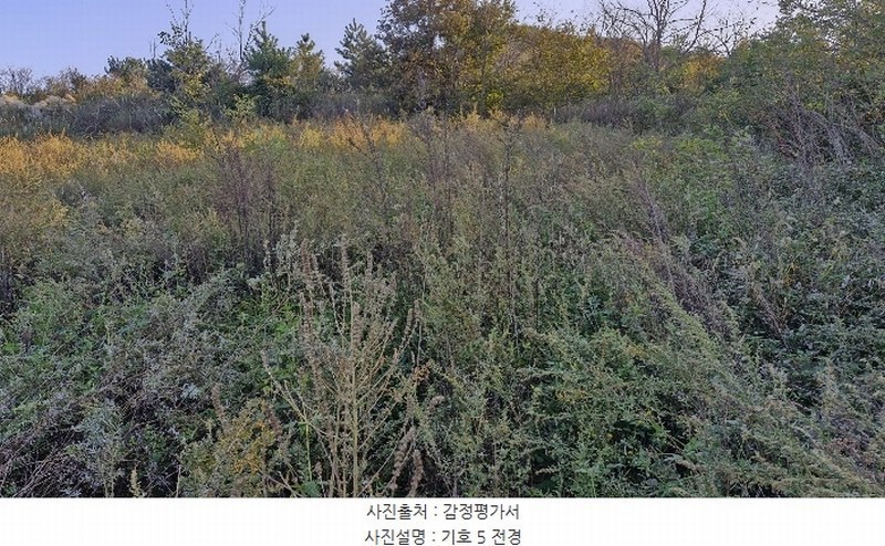 2024타경36429 경상북도 포항시 북구 흥해읍 오도리 405 농지 경매 이미지