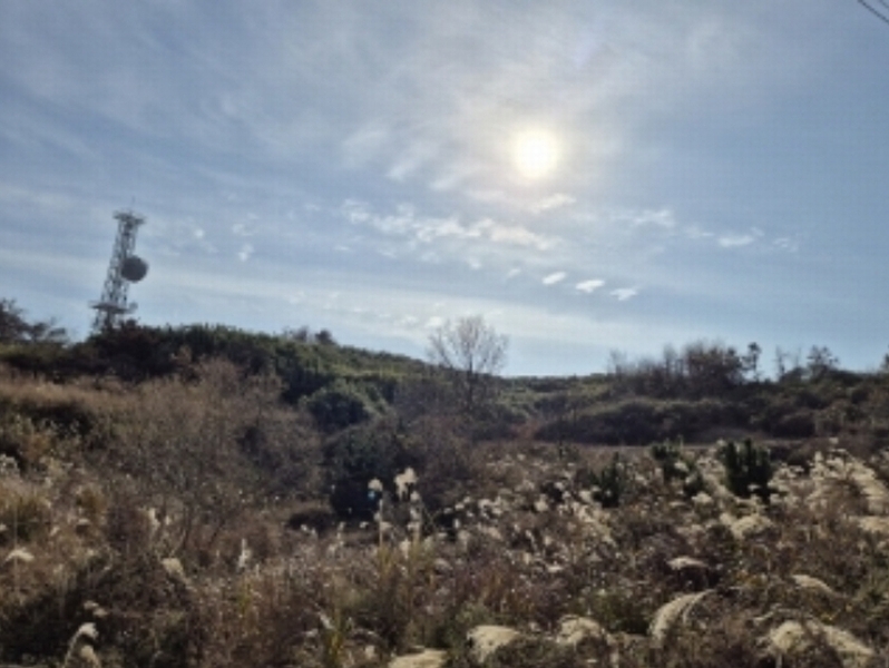 2024타경36870 경상북도 포항시 남구 장기면 계원리 177 농지 경매 이미지