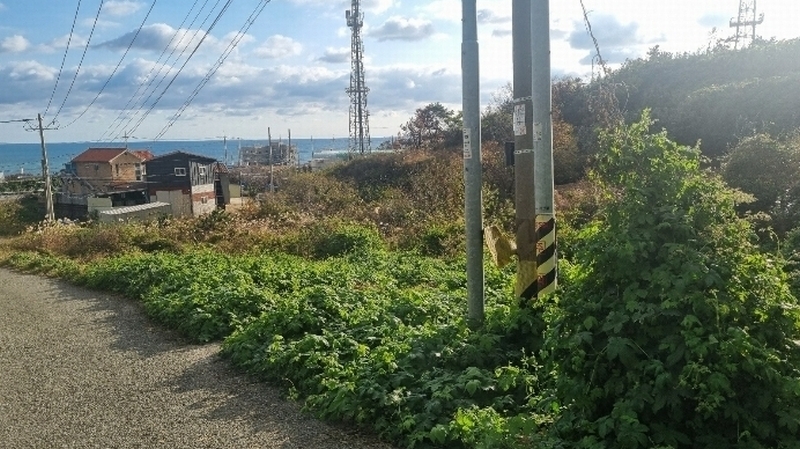 2024타경36870 경상북도 포항시 남구 장기면 계원리 177 농지 경매 이미지