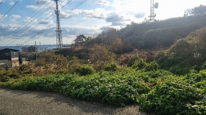 2024타경36870 경상북도 포항시 남구 장기면 계원리 177 농지 경매 이미지