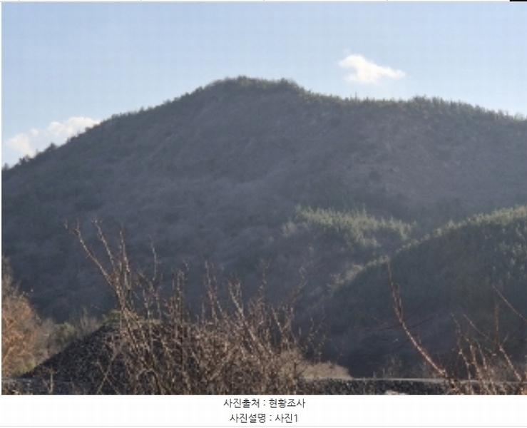2024타경37675 경상북도 포항시 북구 흥해읍 칠포리 산39 임야 경매 이미지