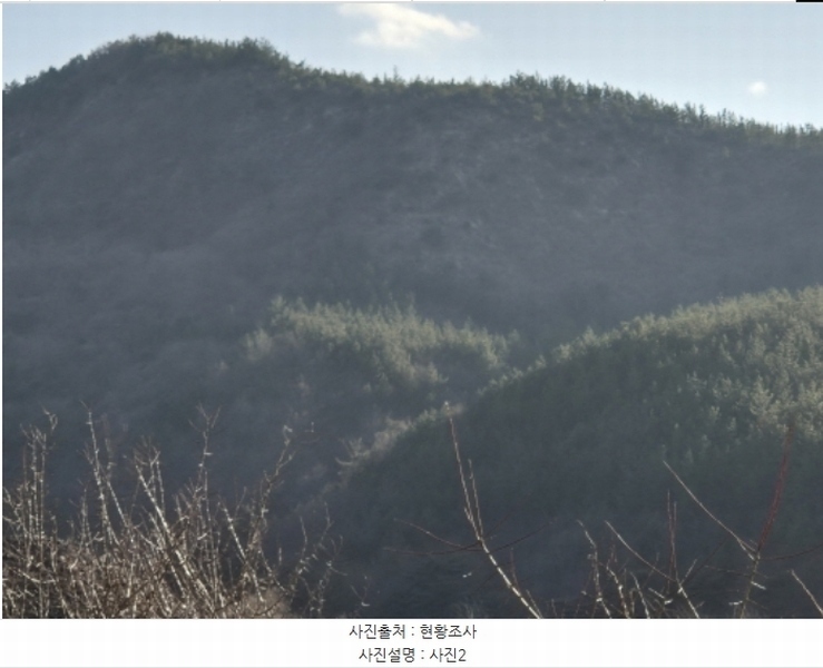 2024타경37675 경상북도 포항시 북구 흥해읍 칠포리 산39 임야 경매 이미지