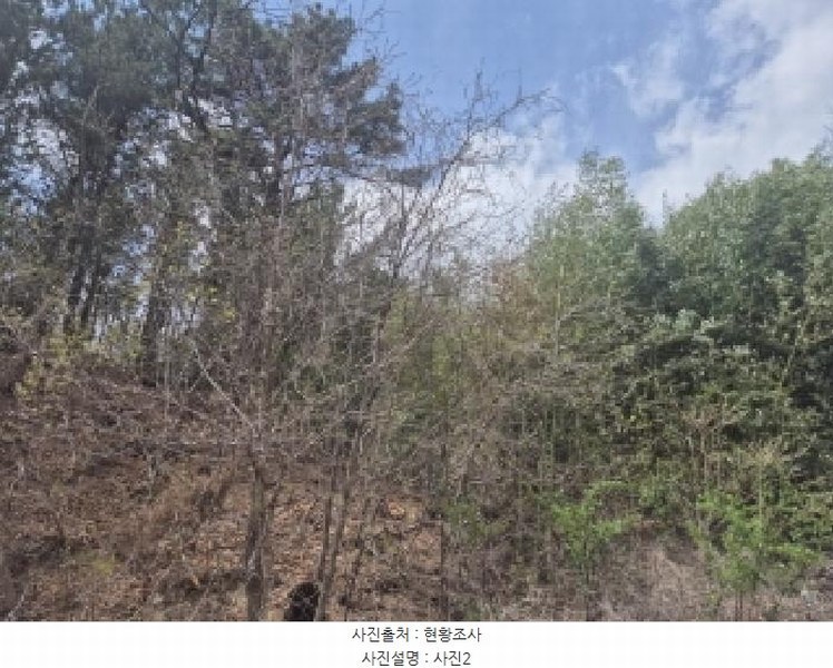 2025타경317 경상북도 포항시 북구 흥해읍 이인리 산23-5 임야 경매 이미지