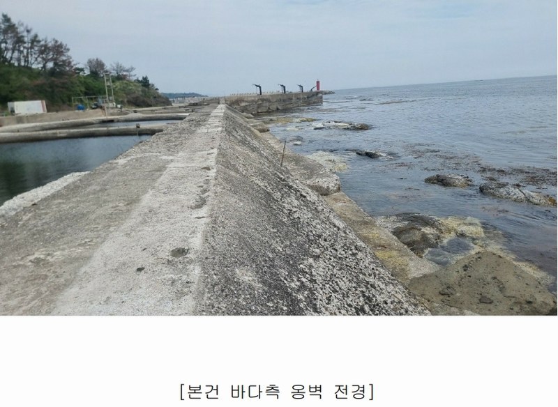 2025타경351 경상북도 포항시 남구 장기면 신창리 어업권 경매 이미지
