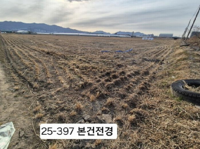 2025타경397 부산광역시 강서구 대저1동 3702-1 농지 경매 이미지