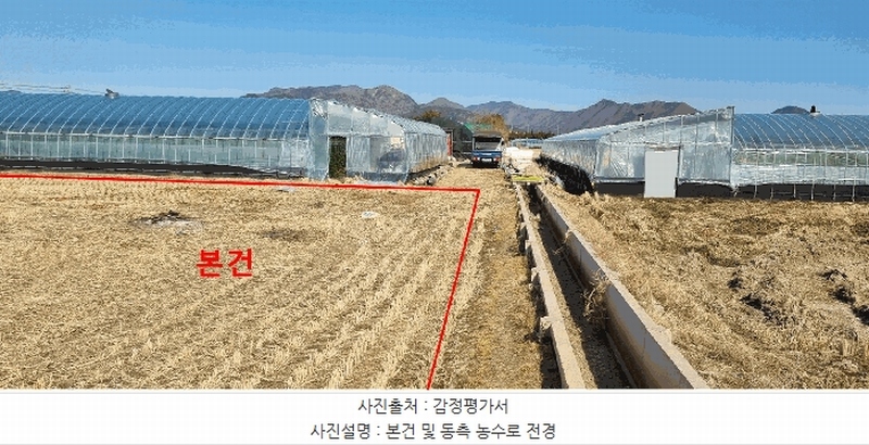 2025타경397 부산광역시 강서구 대저1동 3702-1 농지 경매 이미지