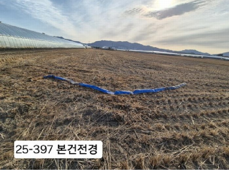 2025타경397 부산광역시 강서구 대저1동 3702-1 농지 경매 이미지