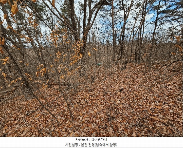 2025타경3559 경상북도 포항시 남구 대송면 대각리 산124 임야 경매 이미지