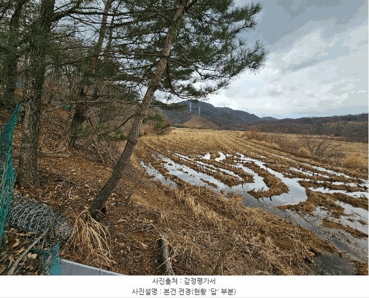 2025타경3559 경상북도 포항시 남구 대송면 대각리 산124 임야 경매 이미지