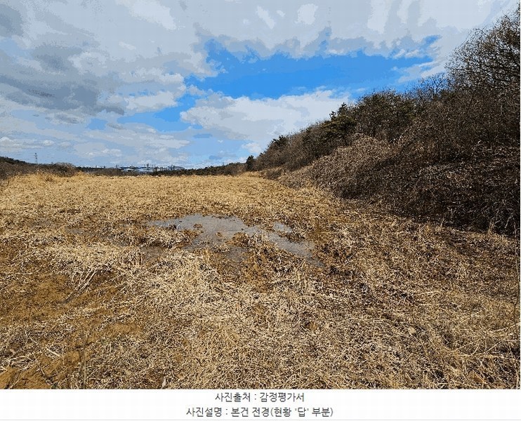 2025타경3559 경상북도 포항시 남구 대송면 대각리 산124 임야 경매 이미지